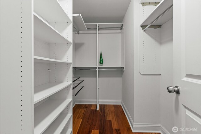 18707 SE Newport Way Unit 208, Issaquah, WA 98027 - spacious closet with dark wood-style floors