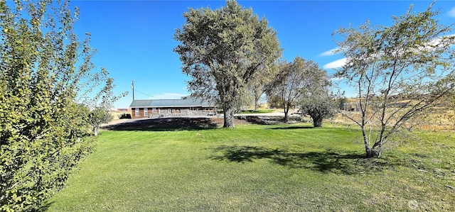 20354 Adrian Rd NE, Soap Lake, WA 98851 - view of green lawn