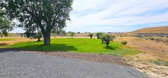 20354 Adrian Rd NE, Soap Lake, WA 98851 - view of grassy yard
