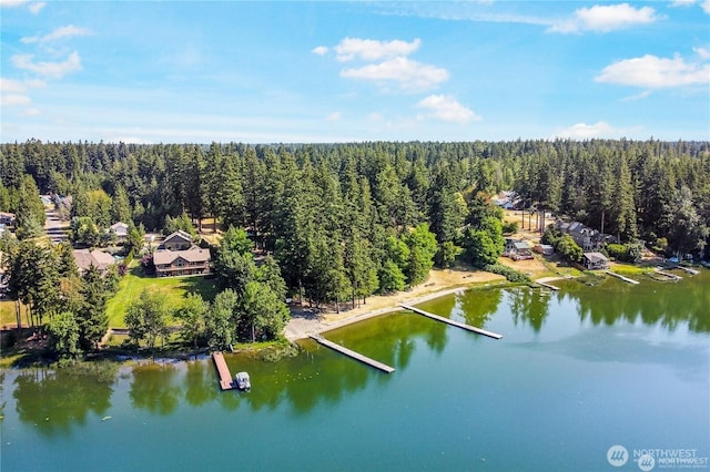 15409 Westshore Dr SE, Yelm, WA 98597 - drone / aerial view of a forest and a large body of water