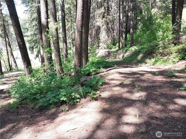 1699116965 Chumstick Hwy, Leavenworth, WA 98826