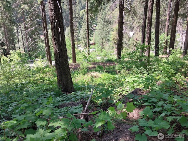 1699116965 Chumstick Hwy, Leavenworth, WA 98826
