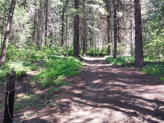1699116965 Chumstick Hwy, Leavenworth, WA 98826