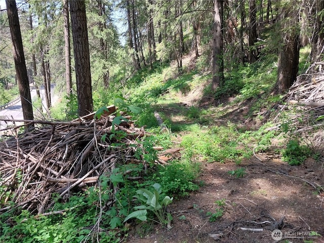 1699116965 Chumstick Hwy, Leavenworth, WA 98826