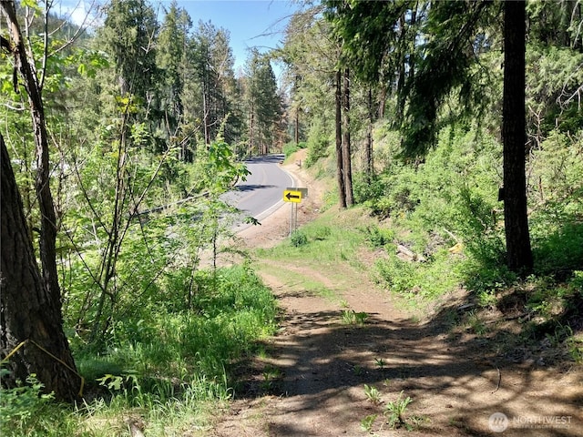 1699116965 Chumstick Hwy, Leavenworth, WA 98826