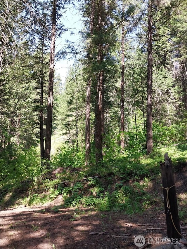 1699116965 Chumstick Hwy, Leavenworth, WA 98826