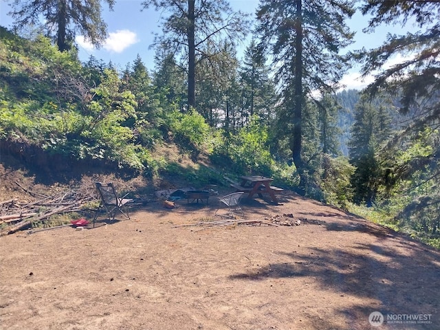 1699116965 Chumstick Hwy, Leavenworth, WA 98826