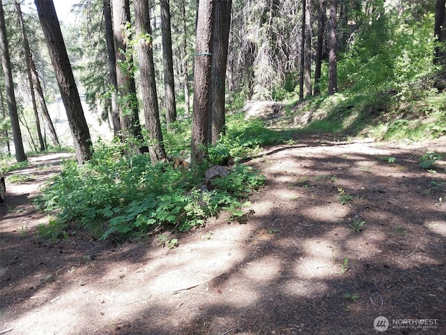 1699116965 Chumstick Hwy, Leavenworth, WA 98826