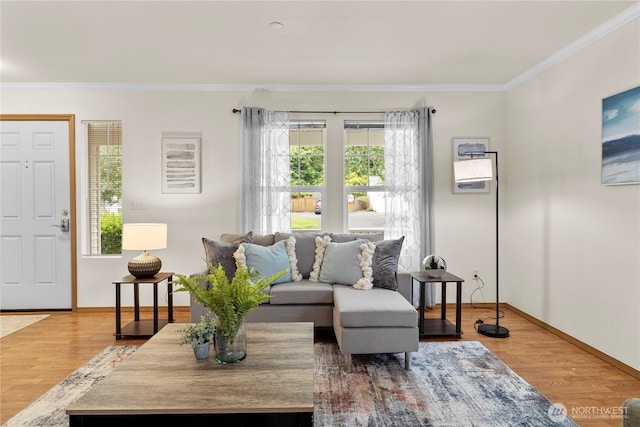 1662 Jensen Ave, Dupont, WA 98327 - living room with crown molding and wood finished floors