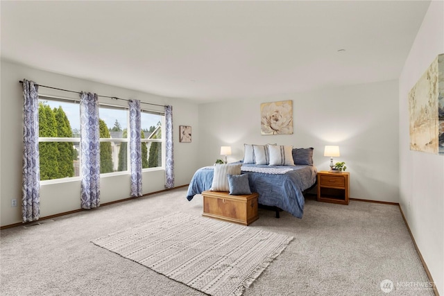 1662 Jensen Ave, Dupont, WA 98327 - bedroom with carpet