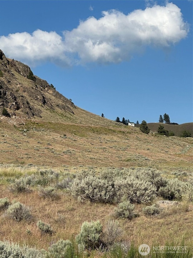 0X Old Tressle Rd, Oroville, WA 98844