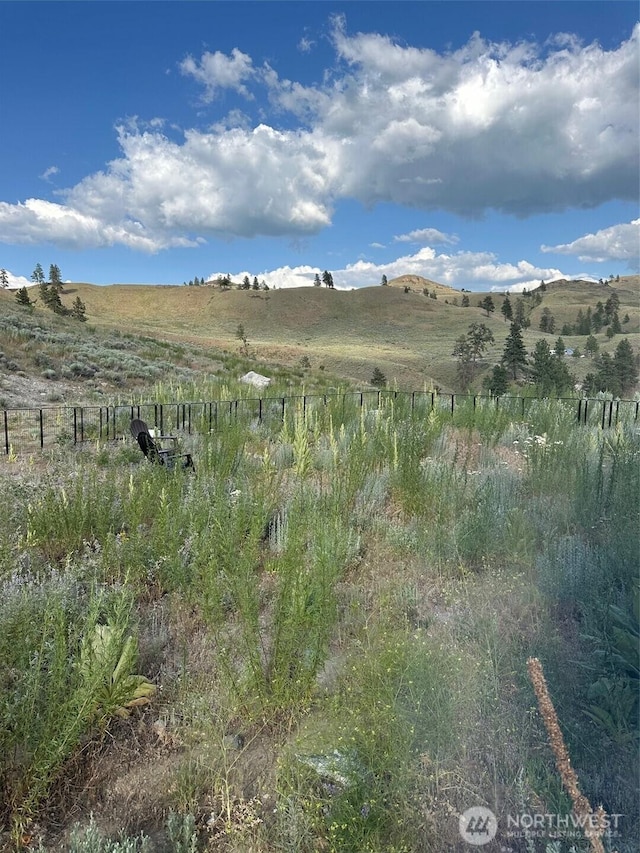 0X Old Tressle Rd, Oroville, WA 98844