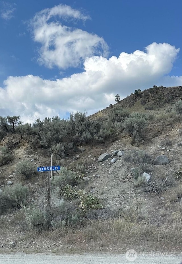 0X Old Tressle Rd, Oroville, WA 98844