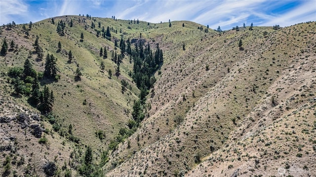 0 Number 2 Canyon Rd, Wenatchee, WA 98801