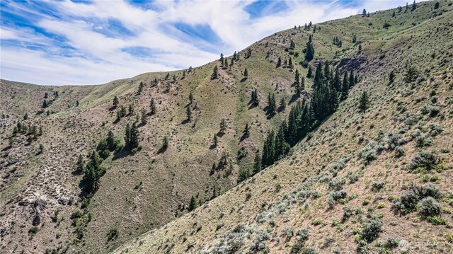 0 Number 2 Canyon Rd, Wenatchee, WA 98801