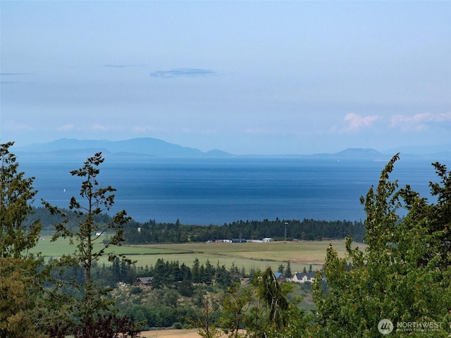 412 Doe Run Rd, Sequim, WA 98382 - mountain view with a nearby body of water