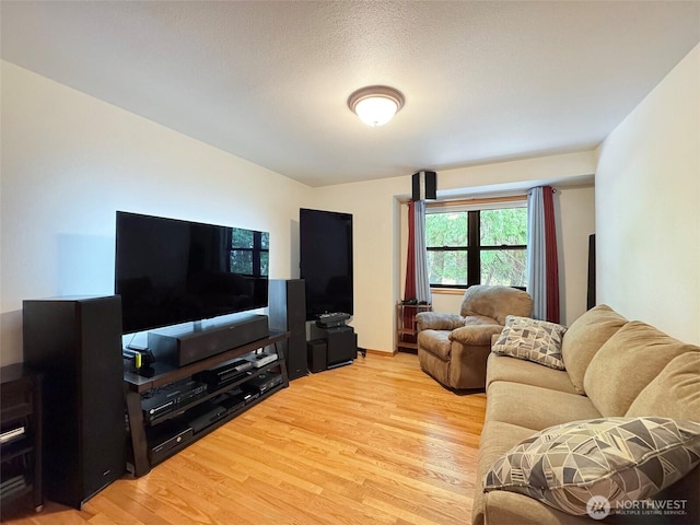 412 Doe Run Rd, Sequim, WA 98382 - living area featuring light wood finished floors