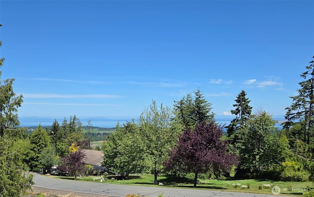 412 Doe Run Rd, Sequim, WA 98382 - view of asphalt road