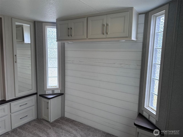 20 Golden Sands Pl, Sequim, WA 98382 - mudroom featuring plenty of natural light, carpet flooring, and a textured ceiling