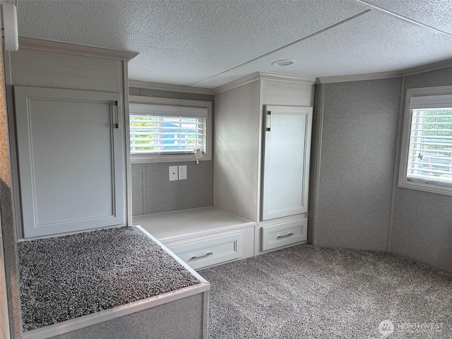 20 Golden Sands Pl, Sequim, WA 98382 - mudroom with ornamental molding, a textured ceiling, and carpet floors