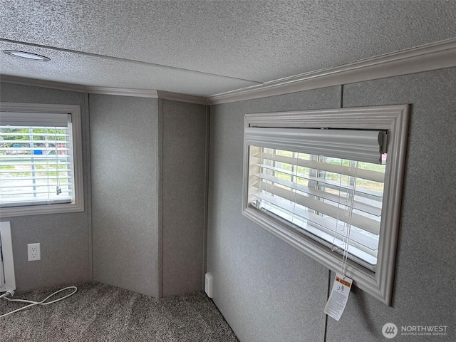 20 Golden Sands Pl, Sequim, WA 98382 - carpeted empty room with a textured ceiling, ornamental molding, and a textured wall