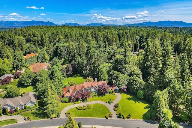 24817 NE 20th St, Sammamish, WA 98074 - aerial view of a forest and a mountain backdrop