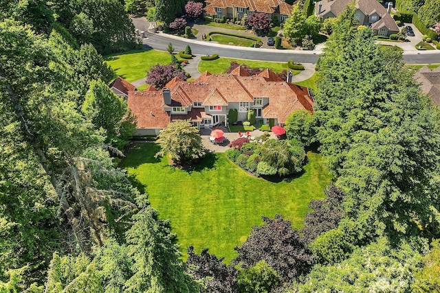 24817 NE 20th St, Sammamish, WA 98074 - aerial perspective of suburban area