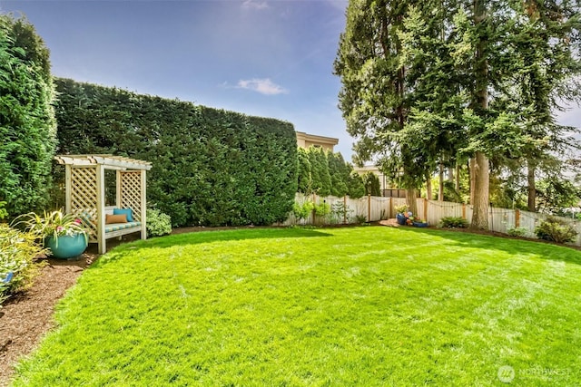 10218 NE 65th St, Kirkland, WA 98033 - view of yard