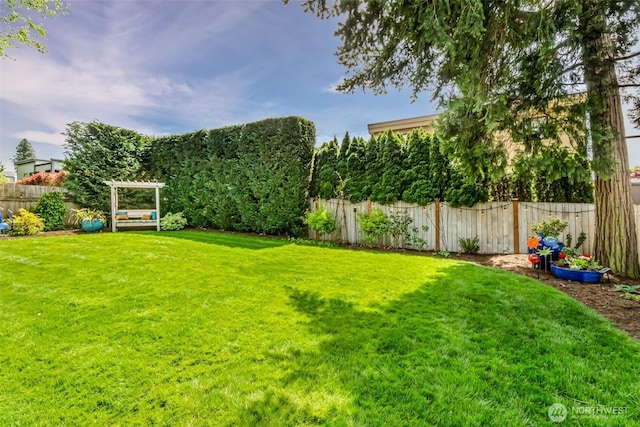 10218 NE 65th St, Kirkland, WA 98033 - view of yard