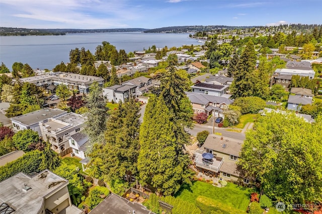 10218 NE 65th St, Kirkland, WA 98033 - aerial perspective of suburban area with a large body of water