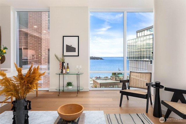 121 Stewart St Unit 1407, Seattle, WA 98101 - living area featuring a water view, wood finished floors, and a wall of windows