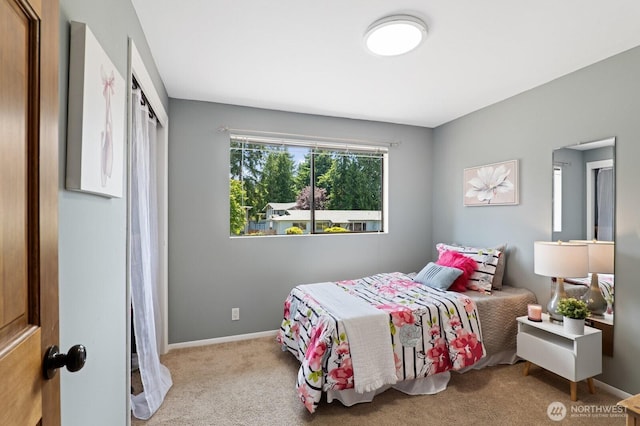 8815 221st Pl SW, Edmonds, WA 98026 - carpeted bedroom featuring baseboards and a closet