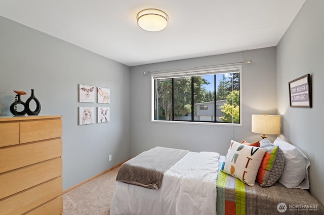 8815 221st Pl SW, Edmonds, WA 98026 - view of carpeted bedroom