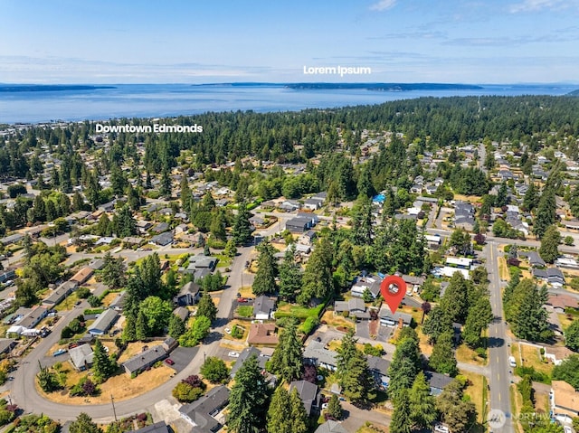 8815 221st Pl SW, Edmonds, WA 98026 - aerial view of property and surrounding area with a nearby body of water and nearby suburban area