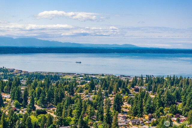 8815 221st Pl SW, Edmonds, WA 98026 - drone / aerial view of a water and mountain view