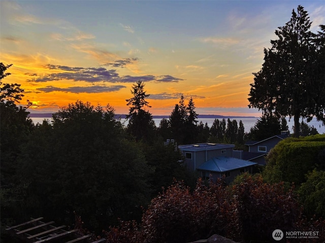 9201 24th Ave NW, Seattle, WA 98117 - view of yard at dusk