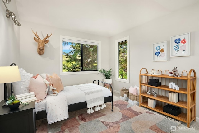 9201 24th Ave NW, Seattle, WA 98117 - bedroom with carpet flooring and baseboards