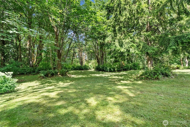 39429 264th Ave SE, Enumclaw, WA 98022 - photo 37