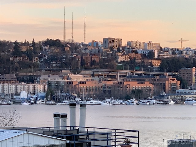 2010 Waverly Pl N, Seattle, WA 98109 - city view with a large body of water