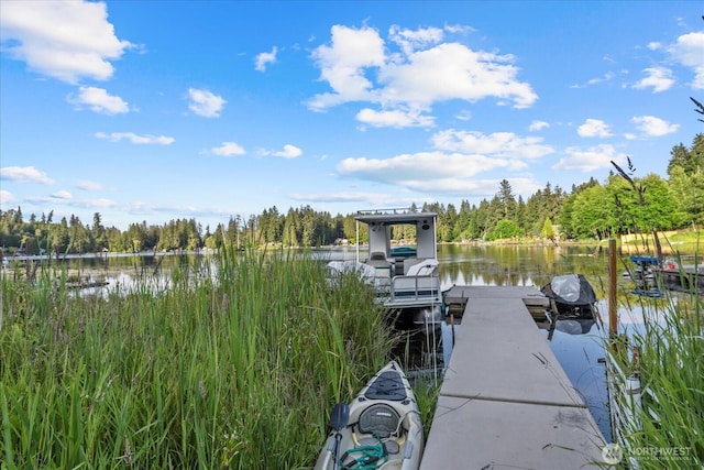 32421 Whitman Lake Dr E, Graham, WA 98338 - dock area with a water view and a view of trees