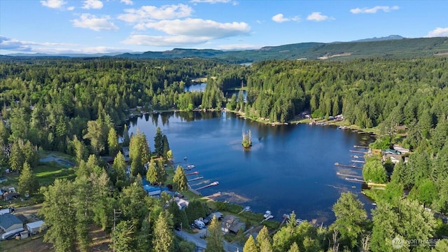 32421 Whitman Lake Dr E, Graham, WA 98338 - aerial view of property's location featuring a forest and a water and mountain view
