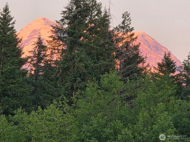 32421 Whitman Lake Dr E, Graham, WA 98338 - view of mountain backdrop