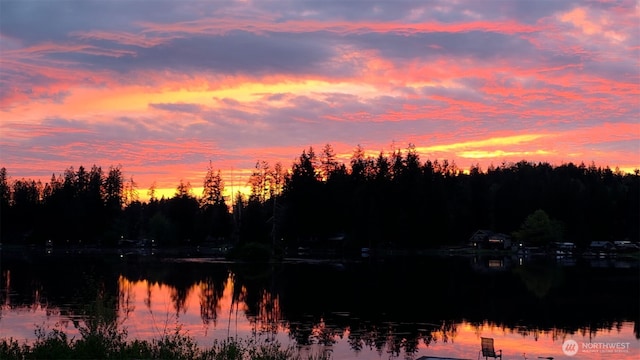 32421 Whitman Lake Dr E, Graham, WA 98338 - water view