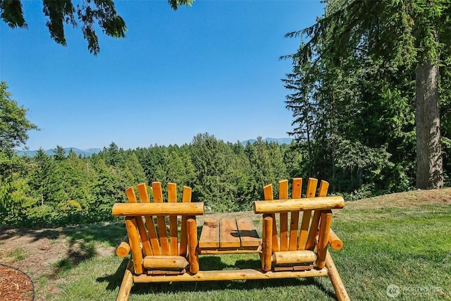8209 271st Ave E, Buckley, WA 98321 - view of jungle gym with a wooded view and a lawn