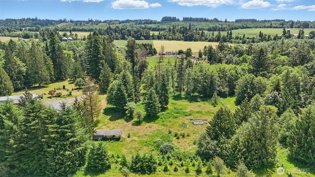 1979 State Route 508, Onalaska, WA 98570