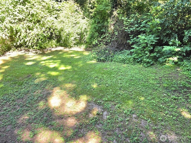 21724 E Terra Ln SE, Yelm, WA 98597 - view of grassy yard