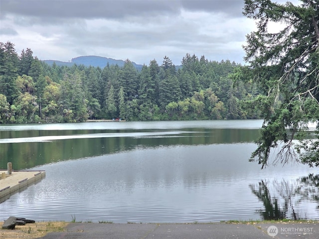 21724 E Terra Ln SE, Yelm, WA 98597 - water view featuring a heavily wooded area