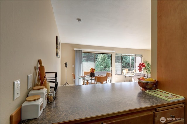 7924 212th St SW Unit 305, Edmonds, WA 98026 - kitchen featuring dark countertops