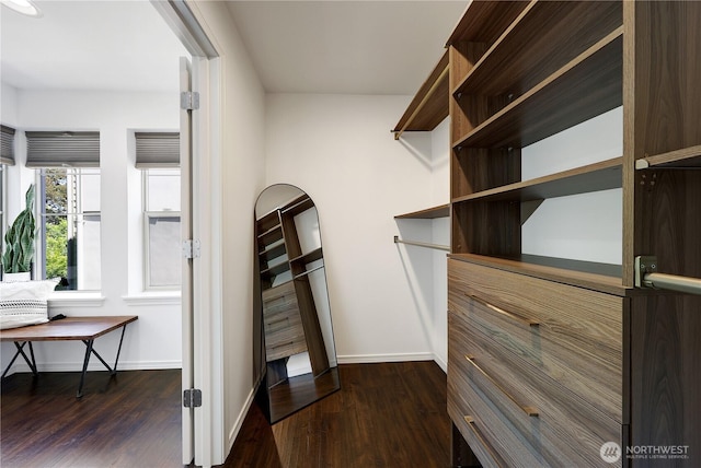 4026 Stone Way N Unit 501, Seattle, WA 98103 - spacious closet with dark wood-style flooring