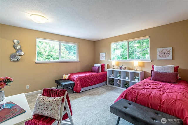 6301 Agnes Rd NE, Tacoma, WA 98422 - bedroom featuring multiple windows and carpet floors